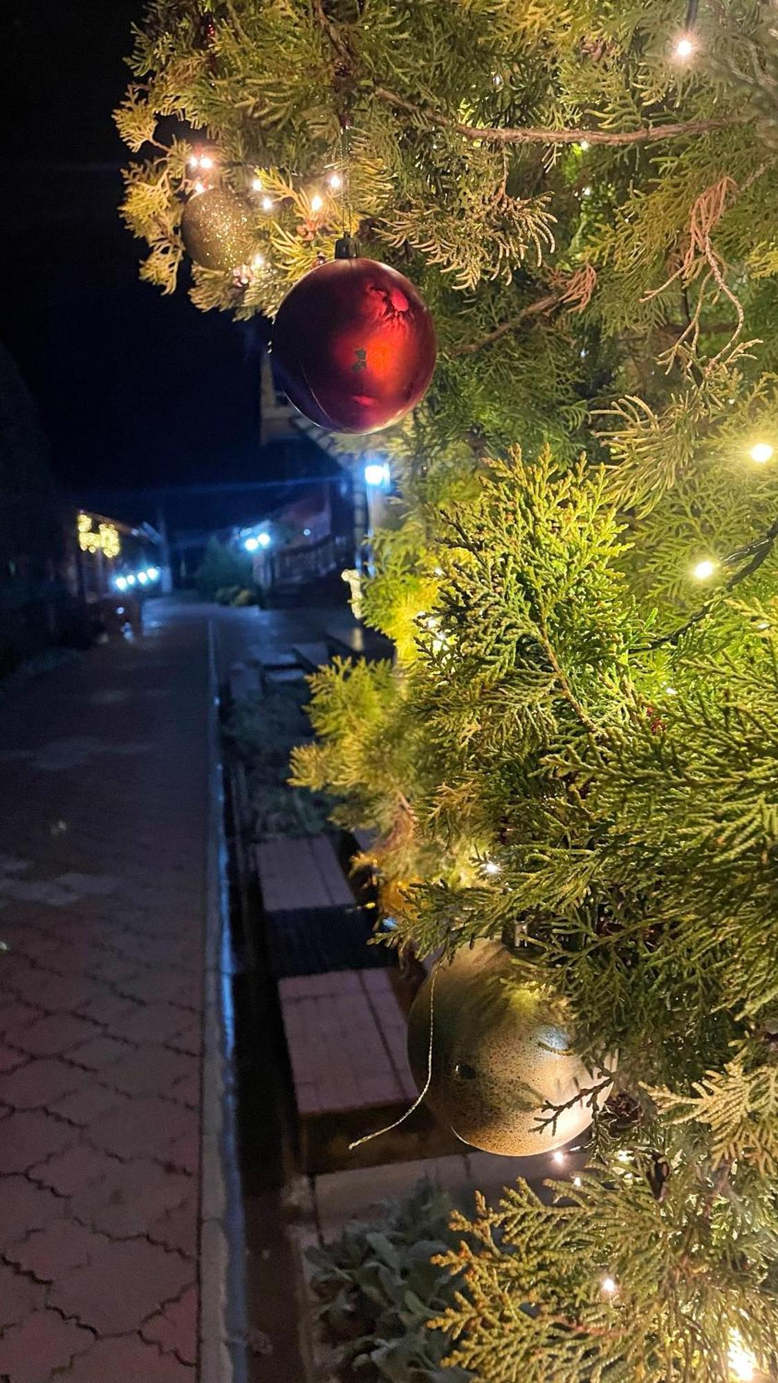 Eko Apartmani Backi Petrovac Exterior foto