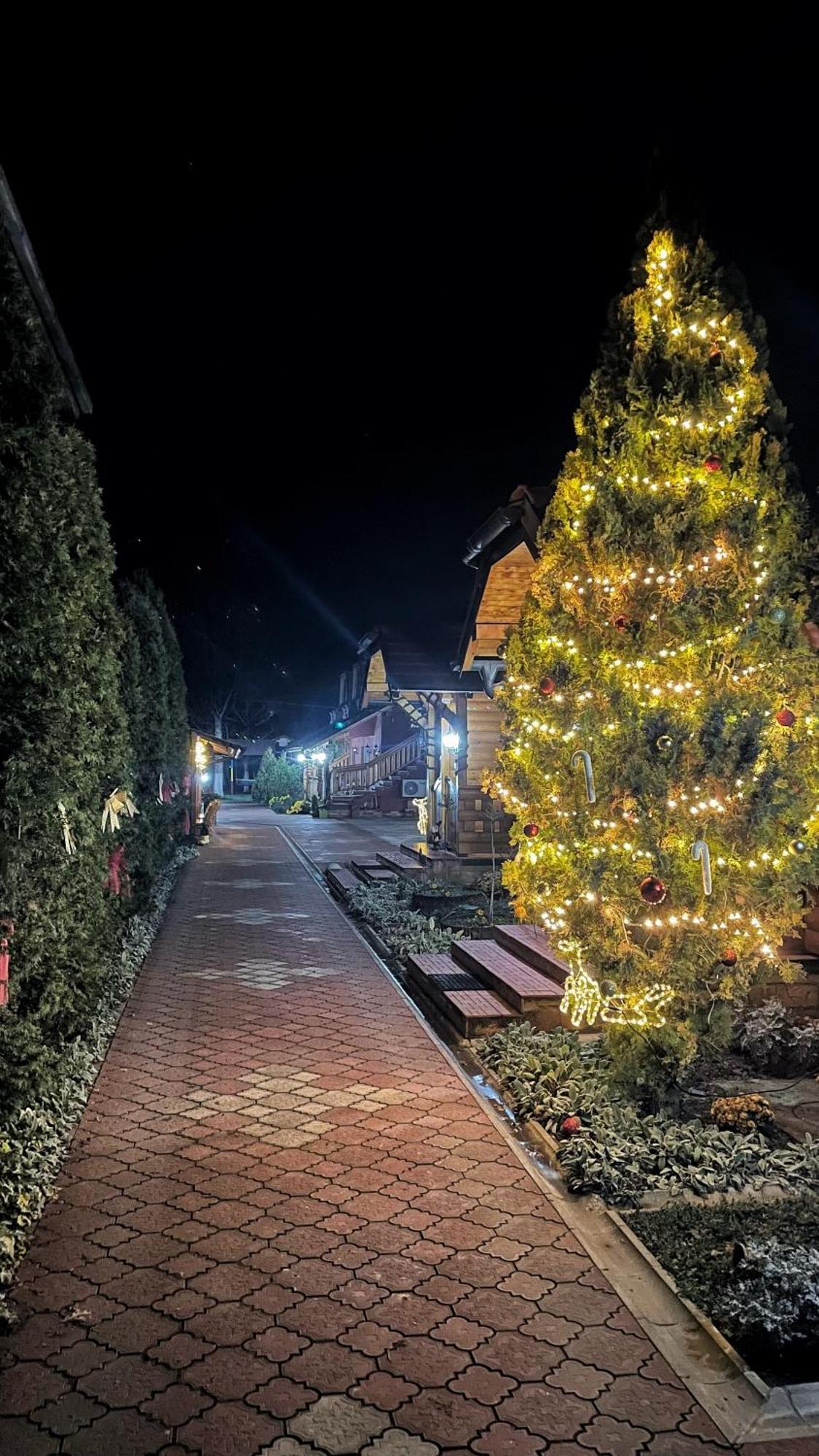 Eko Apartmani Backi Petrovac Exterior foto