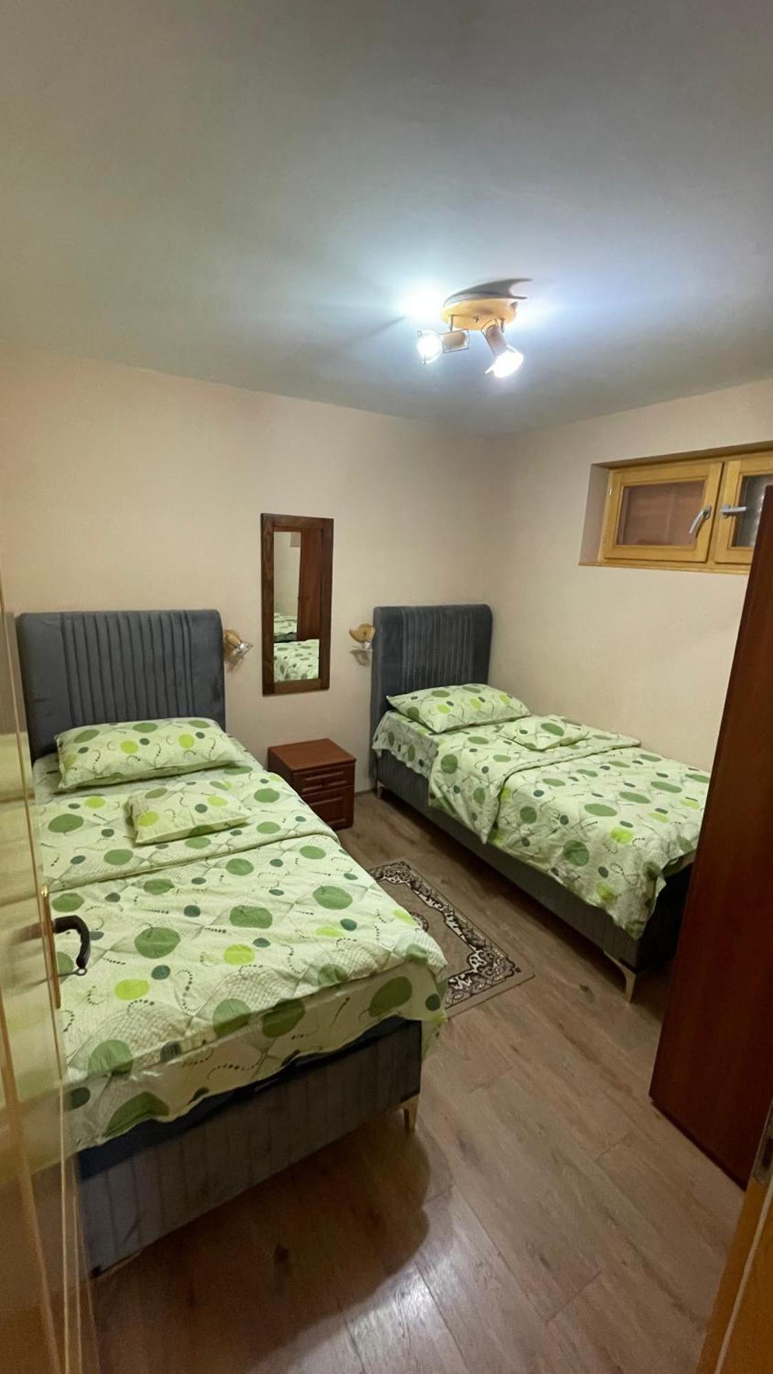 Eko Apartmani Backi Petrovac Exterior foto